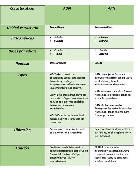 Tabla de semejanzas y diferencias del ADN y ARN Características ADN