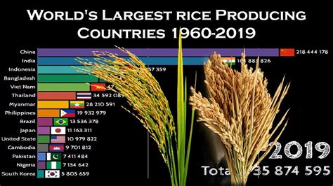 Worlds Largest Rice Producing Countries 1960 2019 Top 15 Rice