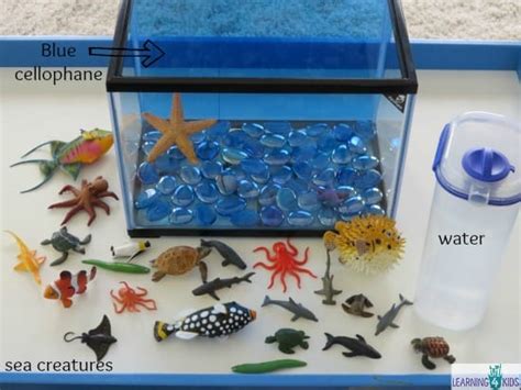 Make Your Own Underwater Zoo Aquarium Learning 4 Kids