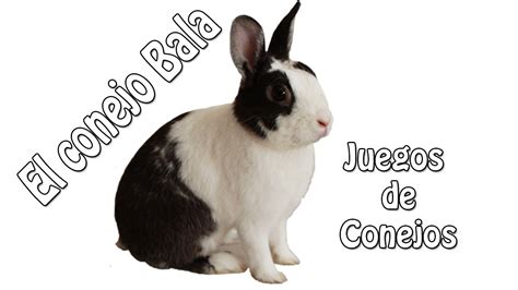 See a recent post on tumblr from @humorguevon about conejo. El Conejo Bala - Juegos de Conejos - The Bullet Rabbit ...