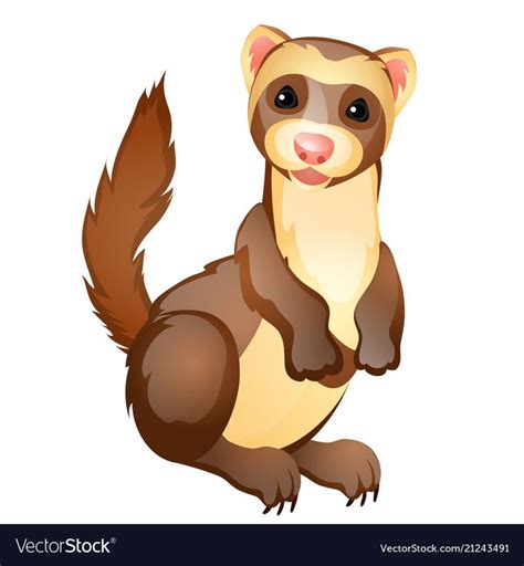 Funny Ferret Toy Isolated On White Background Vector Cartoon Close Up