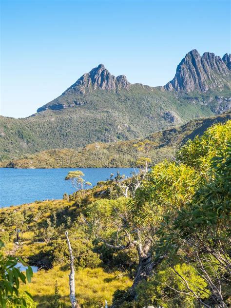 Cradle Mountain And Dove Lake Stock Image Image Of Travel Panorama