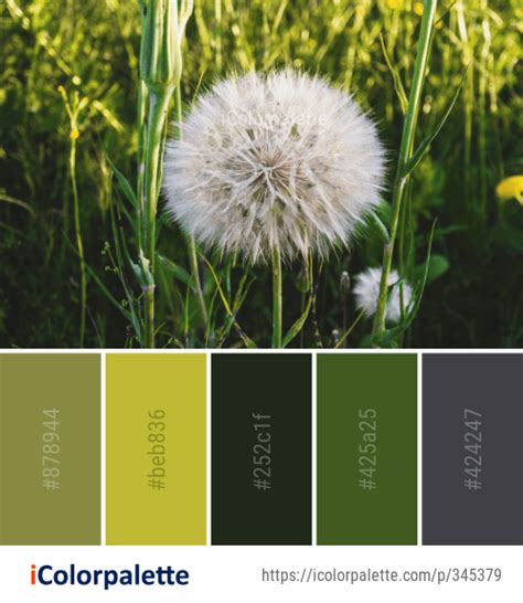 431 Dandelion Color Palette Ideas In 2023 Icolorpalette