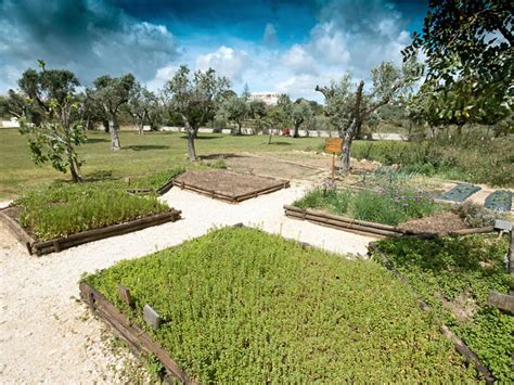 Found within the historic centre is a proud portuguese city, with cobbled streets, authentic restaurants, and an atmosphere which is relaxed and welcoming. Hotel Vila Gale Lagos, Lagos, Algarve, Portugalsko
