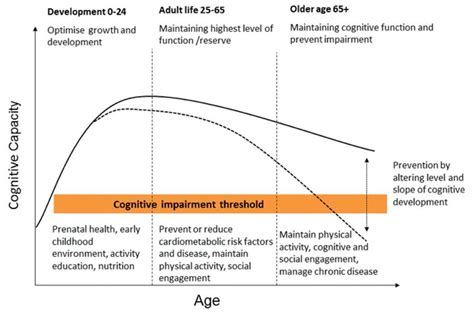 Schematic Representation Of The Trajectory Of Cognitive Development