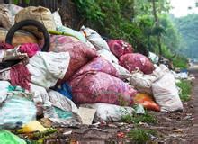 News - Waste Management - Journal - Elsevier