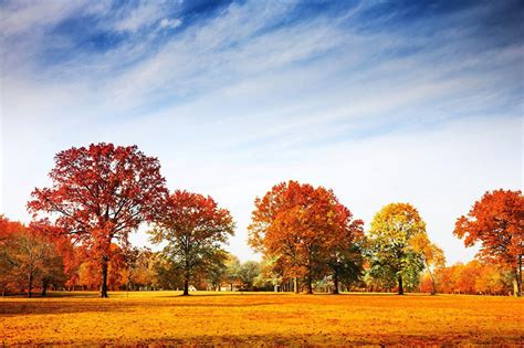 Autumn Sky Wallpapers Top Free Autumn Sky Backgrounds Wallpaperaccess