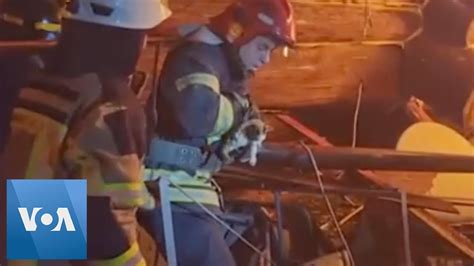 Kitten Rescued From Under Rubble In Kharkiv Youtube