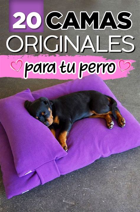 A Black And Brown Dog Laying On Top Of A Purple Pillow With The Words