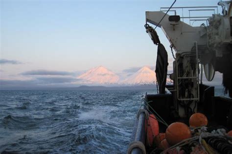 6 Reasons Why Alaskas Aleutian Islands Are A Hot Spot For Sea Life