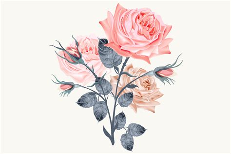 Vintage Rose High Detailed Vector Rose Illustration Crella