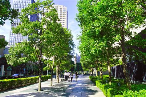 Lena chan and geoffrey davison. Leading the way: Industry trends, commitments and best ...