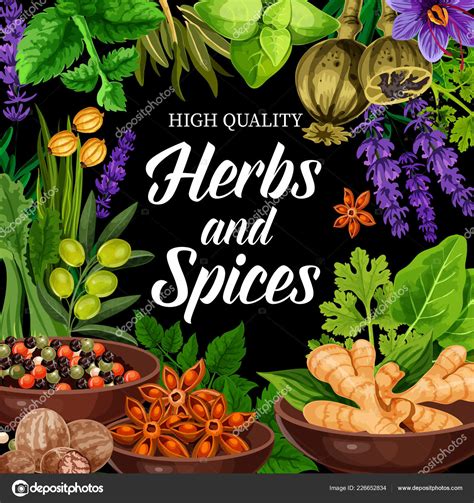 Seasonings Herbs And Spices Shop Vector Poster Stock Vector By