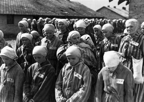 Los Crímenes De Auschwitz La Muerte De 800 Niños En Las Cámaras De Gas