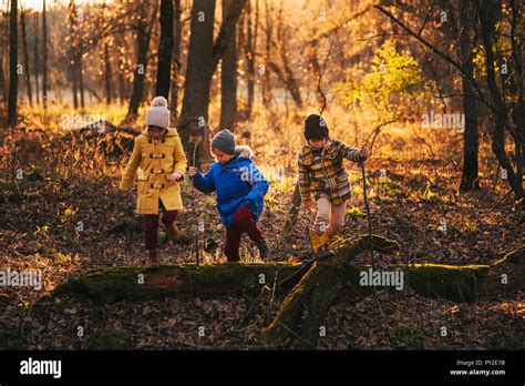 Three Children Playing In The Woods United States Stock Photo Alamy