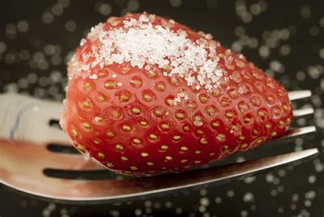 Strawberry Covered With Sugar Stock Photo Image Of Side Sugar 6715510