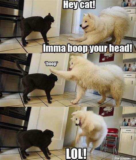 Enjoy funny pet memes that include feline memes, your preferred canine memes, amusing squirrel memes, cute bear memes and also a whole lot extra that will make you laugh!explore beebee hogan's board cat memes on pinterest. Animal Animal Animal: April 2013