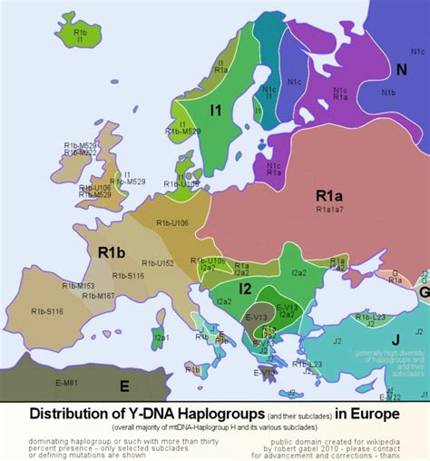 Distribution Of Y Dna Haplogroups In Europe And Surrounding Areas Map