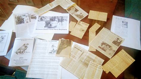 The Brownie Museum – Brownie the Town Dog of Daytona Beach