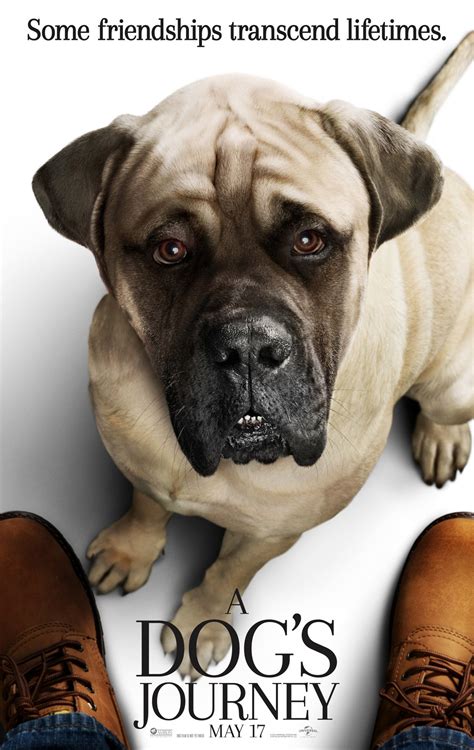 I cried , laughed and cried a lot more. A Dog's Journey (2019) Pictures, Trailer, Reviews, News ...