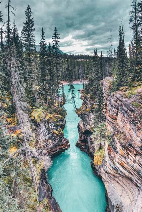 VANCOUVER DESIGN GUIDE | Cool places to visit, Canada travel, Places to