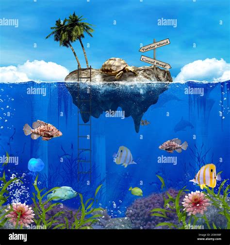 Fantasy Turtles Island By The Coral Reef Stock Photo Alamy