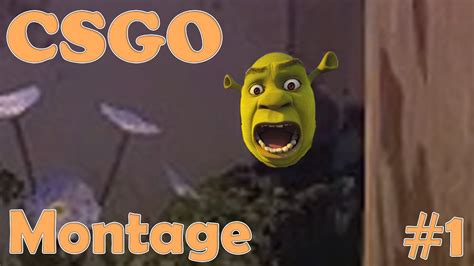 Csgo Competitive Montage 1 Shrek In Csgo Youtube