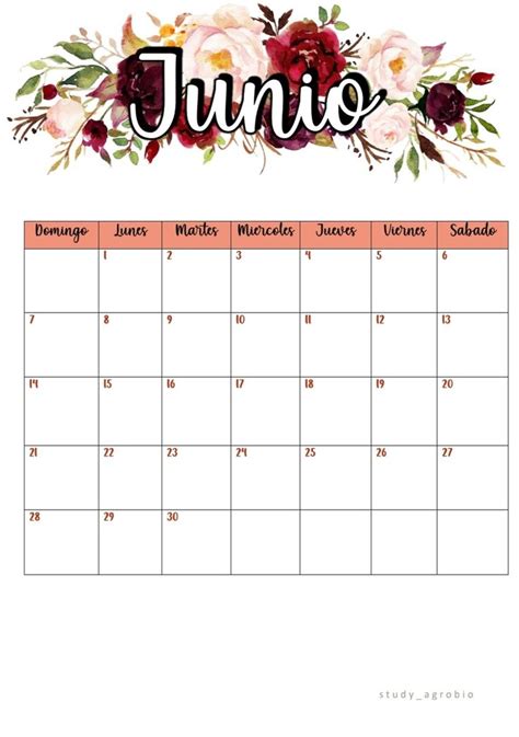 Planner Junio 2020 Ideas De Calendario Calendarios Bonitos