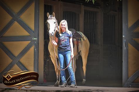 Some are full quarter hor. Dec Docs Royal Peppy aka "Prince" | Horse of My Dreams