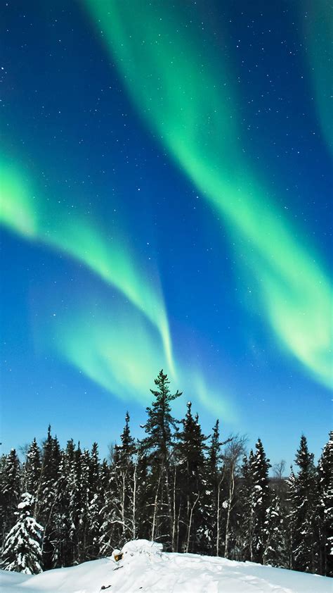 Download Wallpaper - Gambar Wallpaper Oppo Neo 5 (#562554) - HD