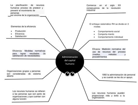 Mapa Araña Ejemplos Y Usos