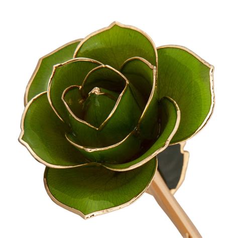 Mossy Green 24k Gold Dipped Rose Wall Drug Store