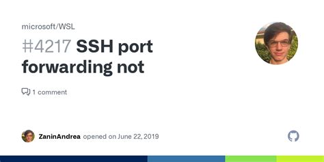 Ssh Port Forwarding Not · Issue 4217 · Microsoftwsl · Github