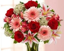 The gardens were not in full bloom because of the season and cold weather at the time. Top 10 Florists in San Antonio TX - Quick Flowers Delivery ...