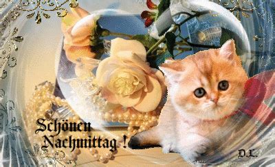 Lustige bilder von mädchen ohne inschriften. Schönen Nachmittag | Schönen nachmittag gif, Nachmittags ...