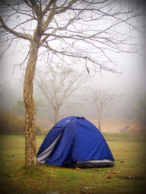 Tent Camping Stock Photos Khaoyai Nation Free Stock Photo Public