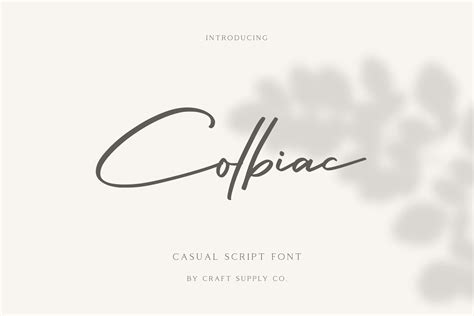 Colbiac Modern Script Canva Font Procreate Font Logo Etsy