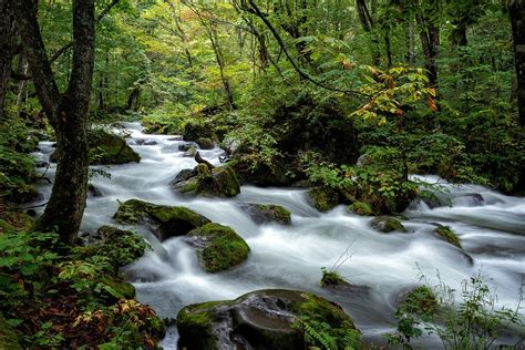 Ruisseau De Montagne Forêt Rochers Photo Gratuite Sur Pixabay