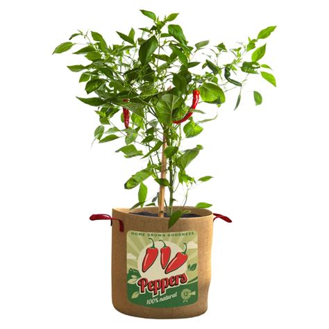 Panacea All Natural Burlap Pepper Grow Bag Durable Plant Container