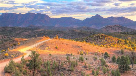 Flinders Ranges 2021 Top 10 Tours Activities With Photos Things