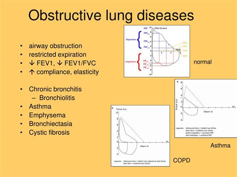 Ppt Obstructive And Restrictive Respiratory Diseases Powerpoint Presentation Id573996