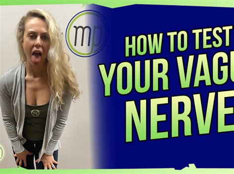 how to test your vagus nerve polyvagal theory the movement paradigm