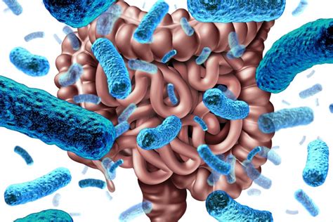Increasing Evidence Of Links Between Parkinsons And Gut Bacteria