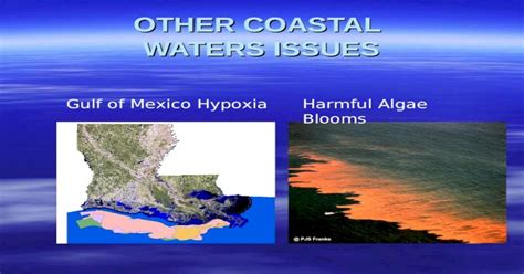 Other Coastal Waters Issues Gulf Of Mexico Hypoxiaharmful Algae Blooms