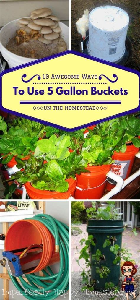 10 Awesome Ways To Use 5 Gallon Buckets On The Homestead