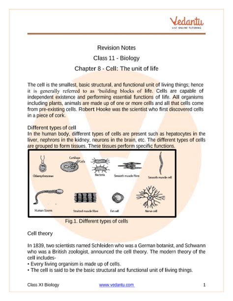 Cell The Unit Of Life Class 11 Notes Cbse Biology Chapter 8 Pdf