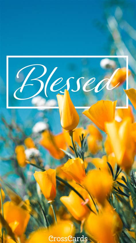 Blessed Wallpaper Phone Wallpaper And Mobile Background