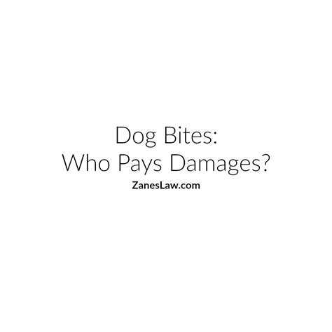 Dog Bite Incidents Animal Bite Claims Zanes Law