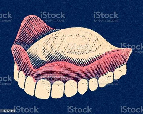 Upper Dentures Stock Illustration Download Image Now Black