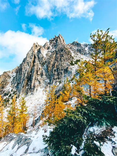 Golden Larches On The Enchantments Hike Our Beautahful World